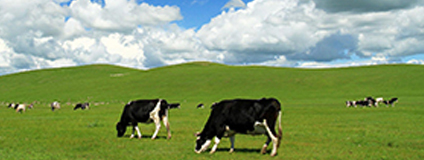 湖南省奶业协会