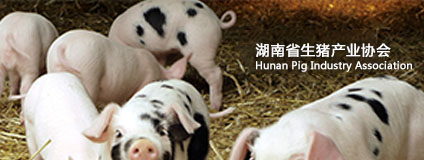 湖南省生猪产业协会